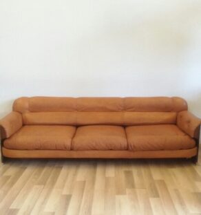 Canapé scandinave en cuir et palissandre