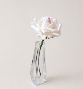 Vase Daum